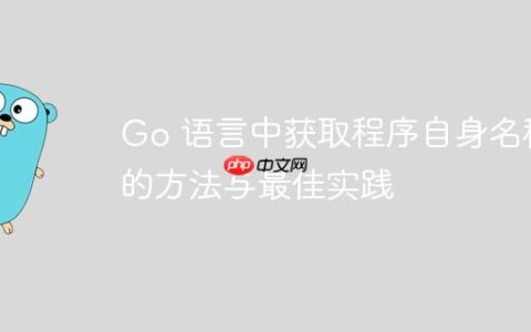 Go 语言中获取程序自身名称的方法与最佳实践