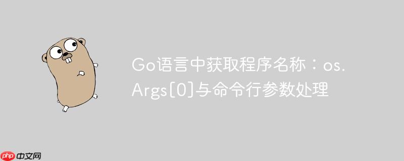 Go语言中获取程序名称：os.Args[0]与命令行参数处理