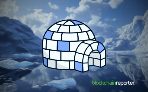 Pengu的崛起：代币转账与Stargate协议集成