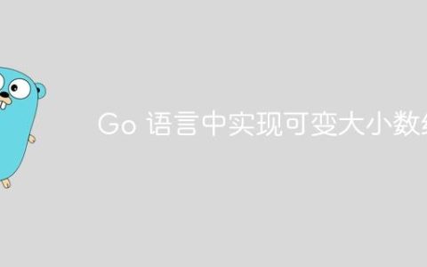 Go 语言中实现可变大小数组
