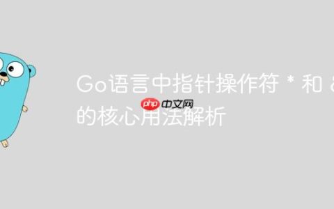 Go语言中指针操作符 * 和 & 的核心用法解析