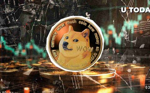 狗狗币：这是突破性的一年吗？