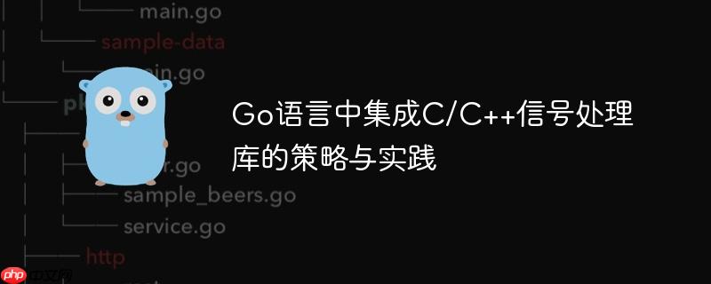 Go语言中集成C/C++信号处理库的策略与实践