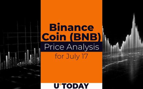 BNB价格分析：7月17日——乘着牛市浪潮冲向1000美元？