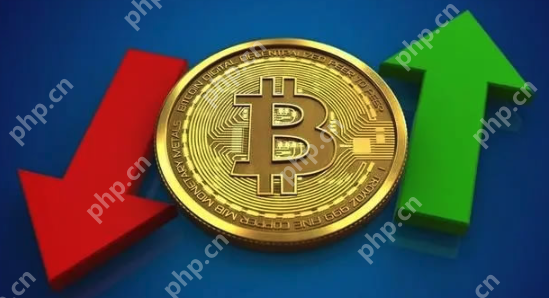 比特币价格2025年预测:BTC突破25万美元?波卡攀升至200美元? - 创想鸟