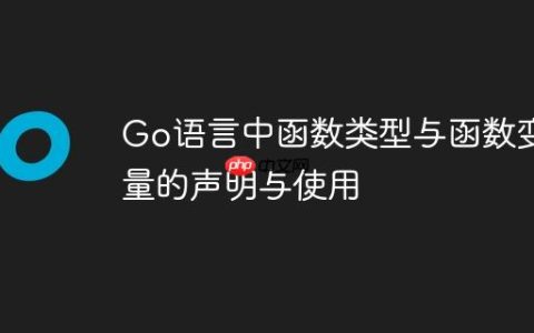 Go语言中函数类型与函数变量的声明与使用