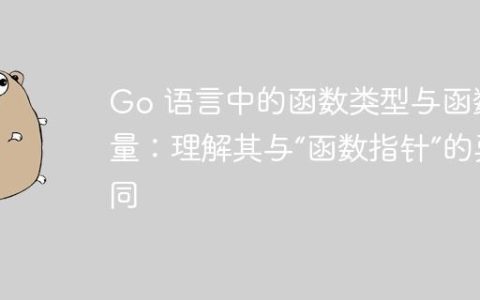 Go 语言中的函数类型与函数变量：理解其与“函数指针”的异同