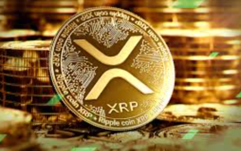 xrp今日价格行情APP xrp币价格今日行情走势实时观测