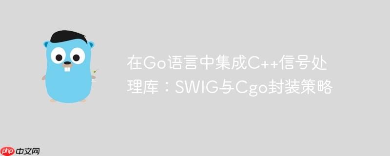 在Go语言中集成C++信号处理库：SWIG与Cgo封装策略