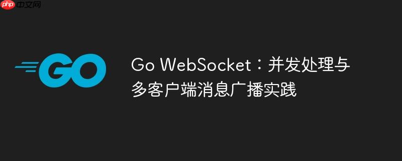 Go WebSocket：并发处理与多客户端消息广播实践