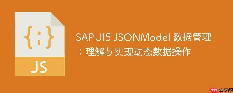 SAPUI5 JSONModel 数据管理：理解与实现动态数据操作