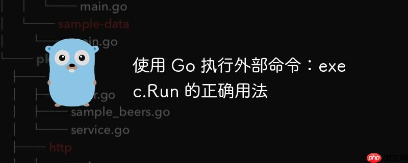 使用 go 执行外部命令:exec.run 的正确用法