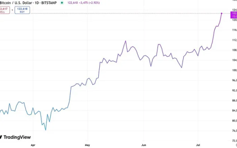 比特币周期已破!未来的12个月有望达到20万?