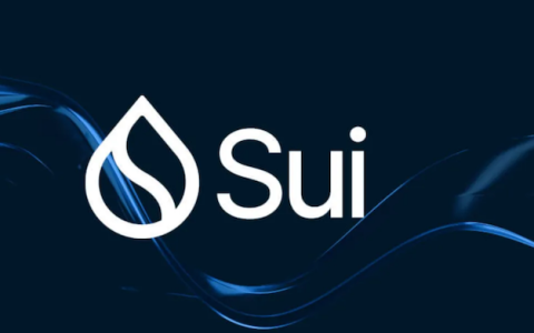 SUI币近期大热，适合新手长期投资吗？