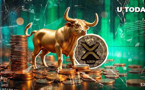 瑞波币（XRP）表现优于其他币种？等等，这才是真实情况