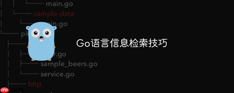 go语言信息检索技巧