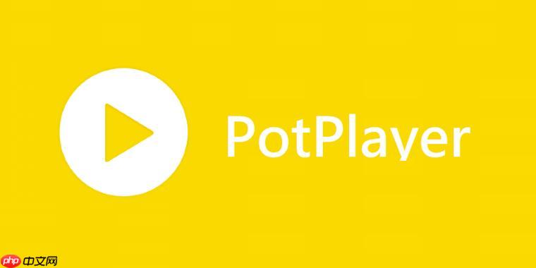 PotPlayer怎么启用HDR PotPlayer高动态范围显示配置