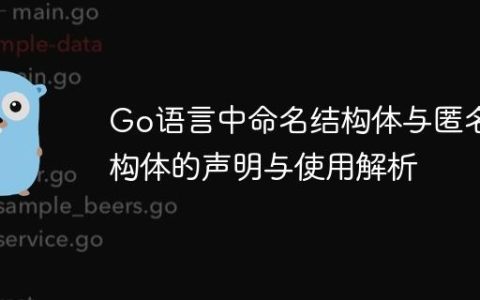 Go语言中命名结构体与匿名结构体的声明与使用解析