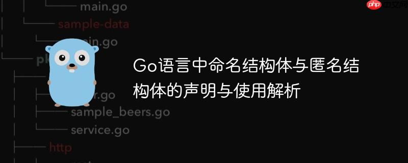 Go语言中命名结构体与匿名结构体的声明与使用解析