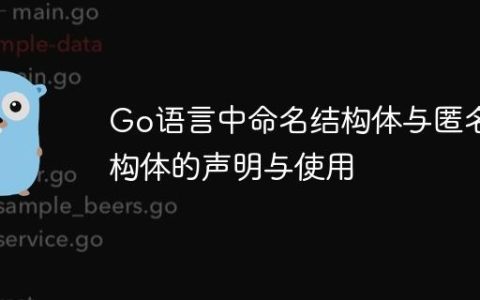 Go语言中命名结构体与匿名结构体的声明与使用