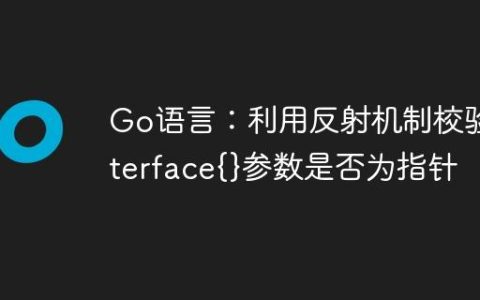 Go语言：利用反射机制校验interface{}参数是否为指针