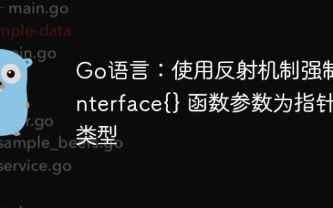 Go语言：使用反射机制强制 interface{} 函数参数为指针类型