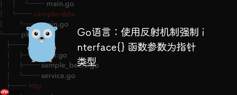 go语言:使用反射机制强制 interface{} 函数参数为指针类型