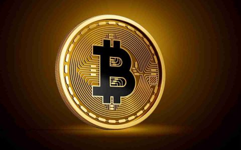Smarter Web的比特币积累计划：乘上加密浪潮