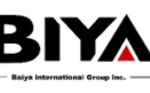 Baiya国际的Web3飞跃：收购行动预示着大胆的数字化转型