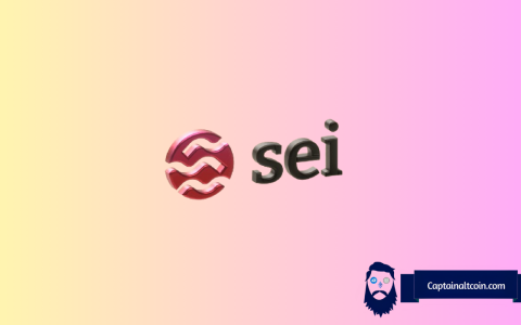 SEI代币：通往2026年百万富翁之路？
