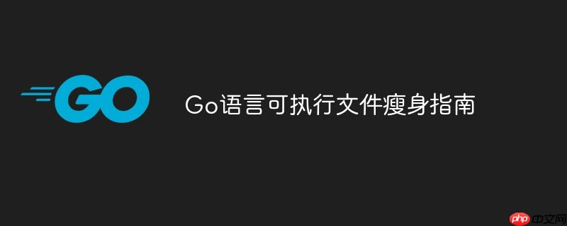 Go语言可执行文件瘦身指南