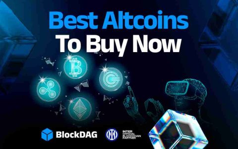 BlockDAG、山寨币和预售：有什么炒作？