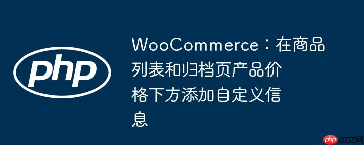 WooCommerce:在商品列表和归档页产品价格下方添加自定义信息