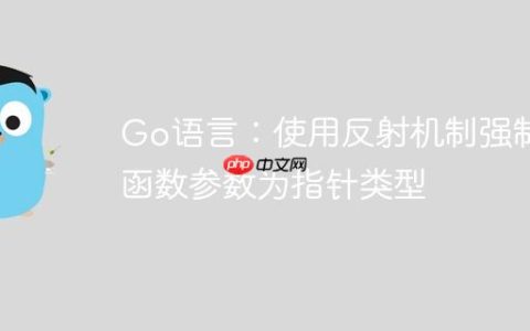 Go语言：使用反射机制强制函数参数为指针类型