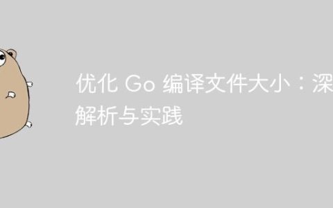 优化 Go 编译文件大小：深入解析与实践