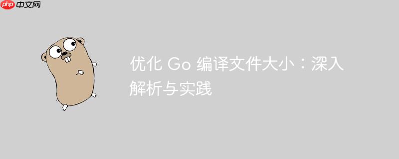 优化 Go 编译文件大小:深入解析与实践