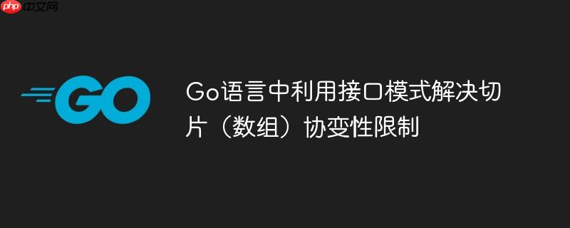Go语言中利用接口模式解决切片(数组)协变性限制