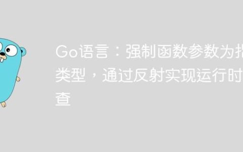 Go语言：强制函数参数为指针类型，通过反射实现运行时检查