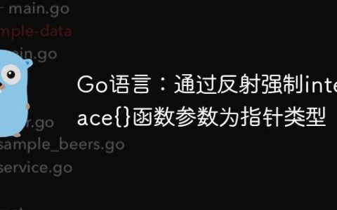 Go语言：通过反射强制interface{}函数参数为指针类型