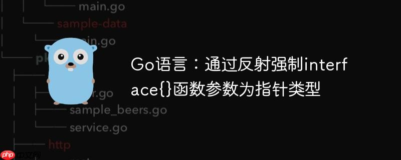Go语言:通过反射强制interface{}函数参数为指针类型