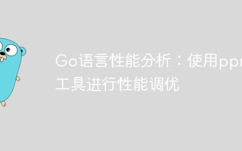 Go语言性能分析：使用pprof工具进行性能调优
