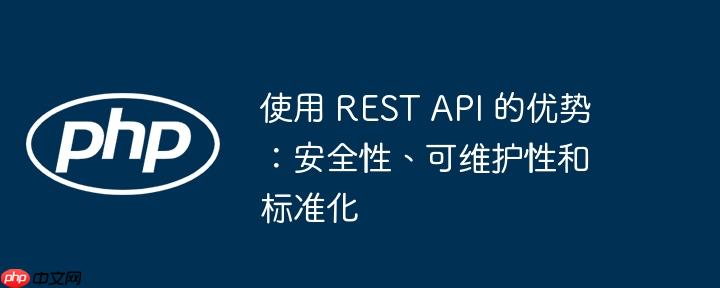 使用 rest api 的优势:安全性、可维护性和标准化