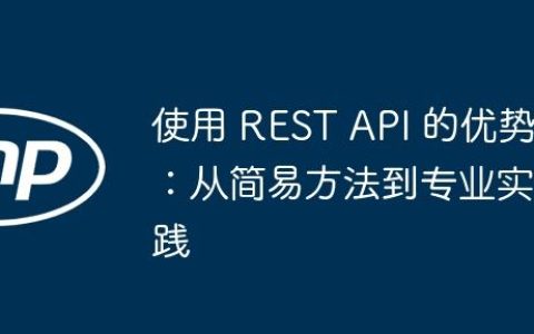 使用 REST API 的优势：从简易方法到专业实践