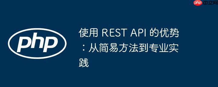 使用 rest api 的优势:从简易方法到专业实践