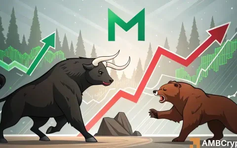 MNT、回调与分析：解读最新加密货币动态
