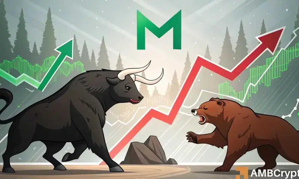 MNT、回调与分析:解读最新加密货币动态