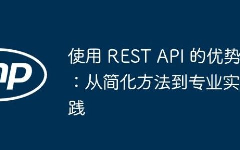 使用 REST API 的优势：从简化方法到专业实践