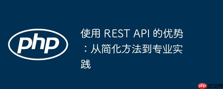 使用 rest api 的优势:从简化方法到专业实践
