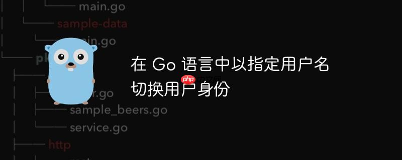 在 go 语言中以指定用户名切换用户身份