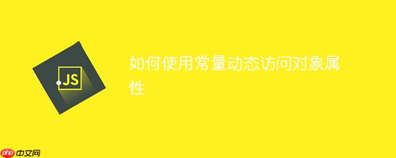 如何使用常量动态访问对象属性